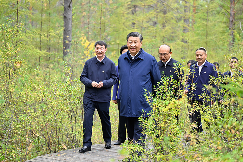 9月6日至8日，中共中央總書記、國家主席、中央軍委主席習近平在黑龍江考察。這是6日下午，習近平在大興安嶺地區漠河市漠河林場自然林區考察